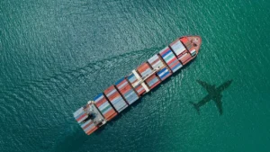 Fredi - Logistics Management in Transition